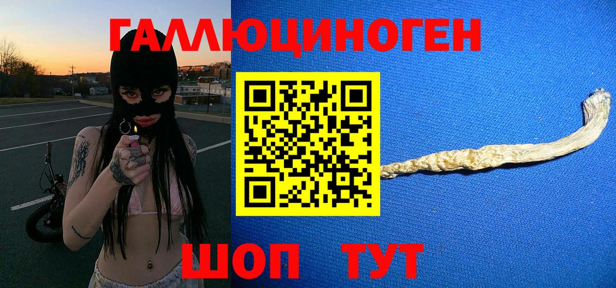 Тимашёвск  Псилоцибиновые грибы Magic Shrooms  Вход с VPN 